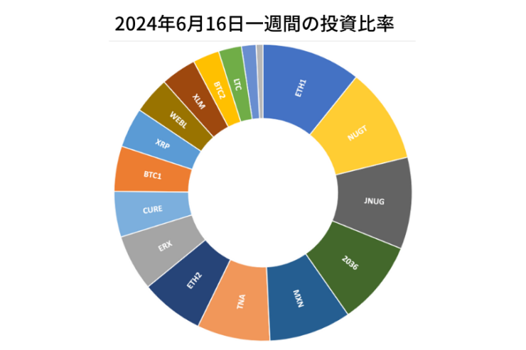 2024年6月16日までの一週間の投資比率