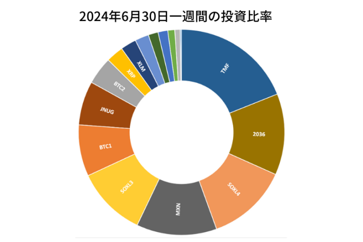 2024年6月30日までの一週間の投資比率