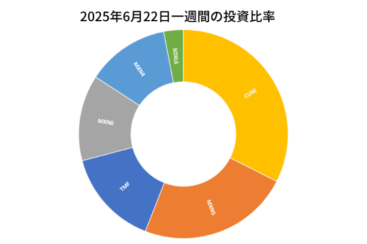 2025年6月22日までの一週間の投資比率