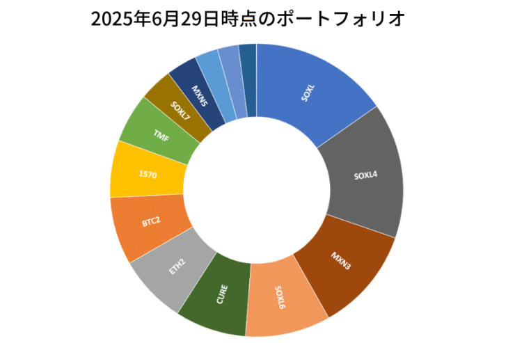 2025年6月29日時点のポートフォリオ