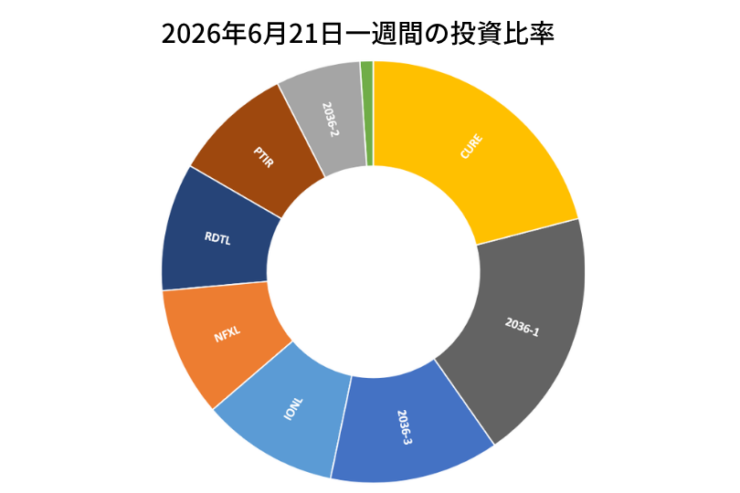 2026年6月21日までの一週間の投資比率